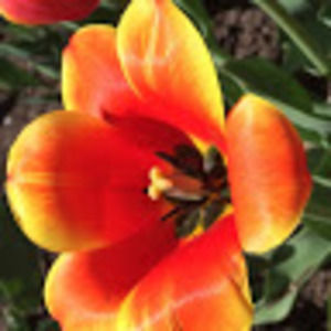 Meet your Posher, Marina